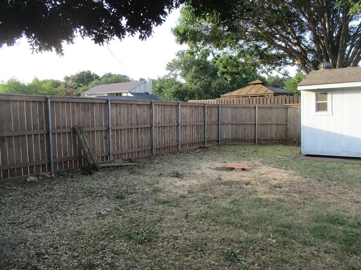 Cleared yard after professional tree removal in Braden